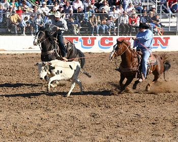 team roping