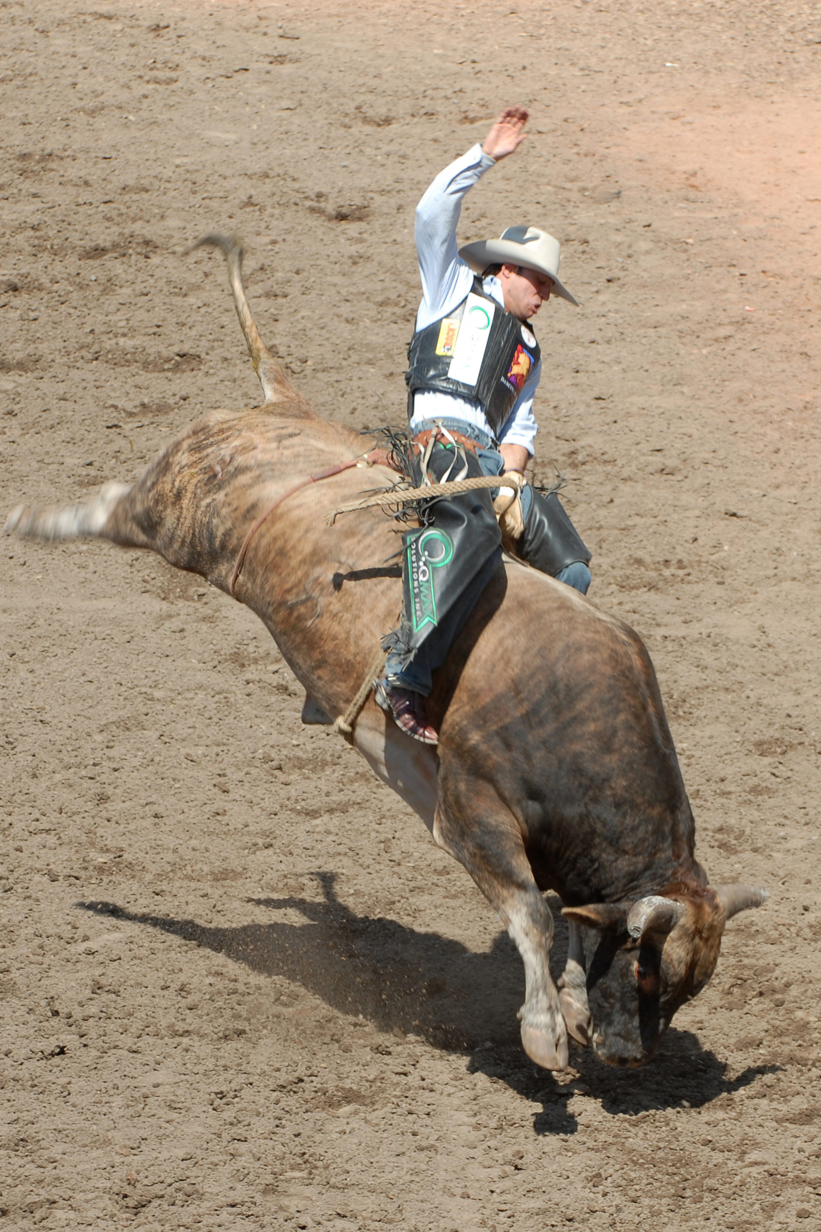 bull riding