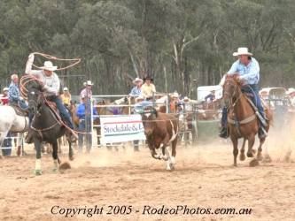 team roping