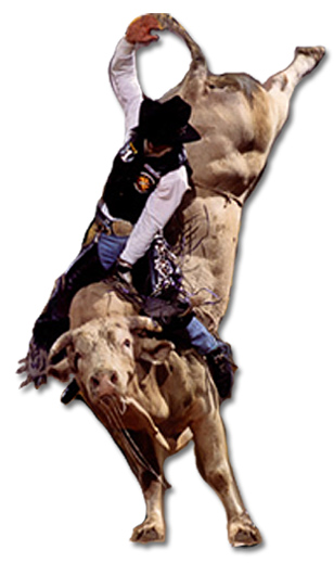 bodacious the bull