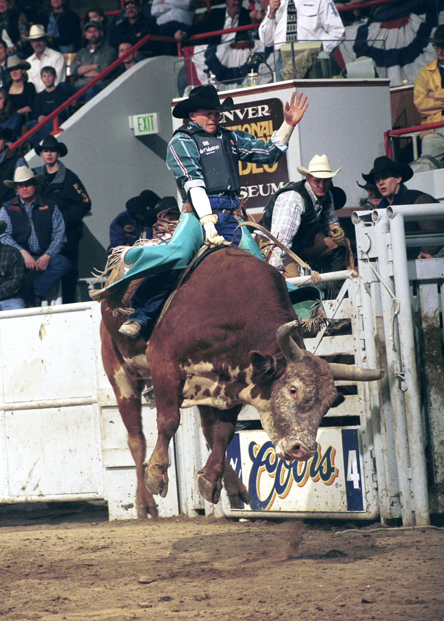 bull riding