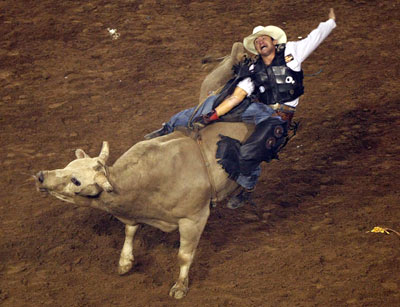 bull riding