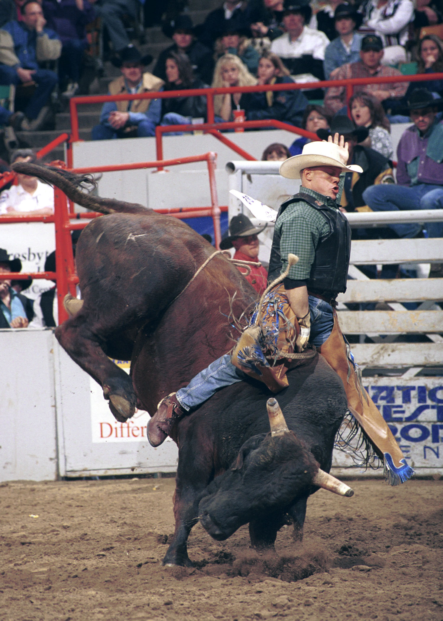 bull riding