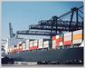 cnf logistics