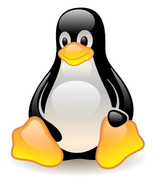 vulnerability access cnf