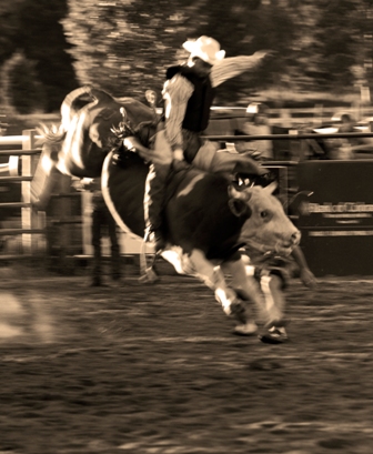 bull riding gear
