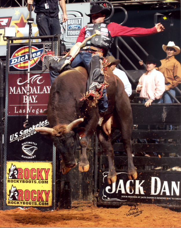 bucking bulls
