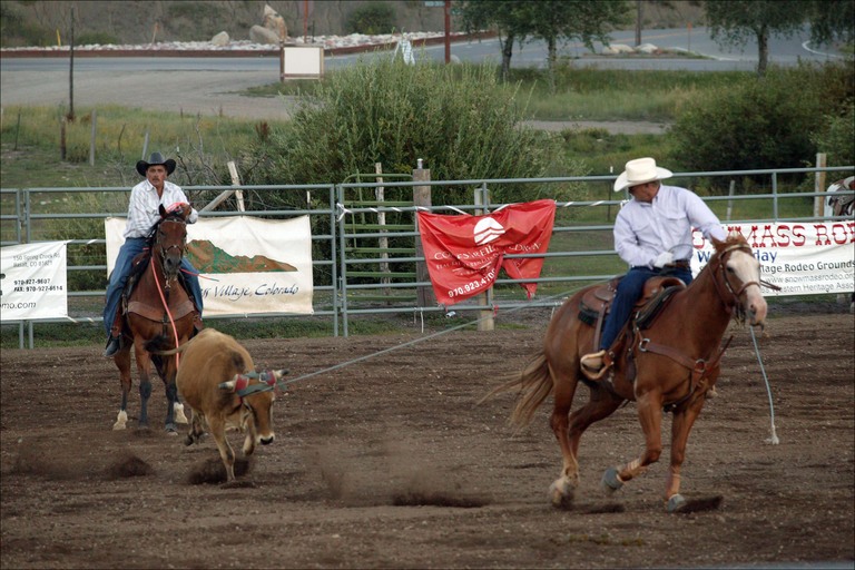 team roping
