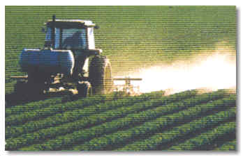 insecticides