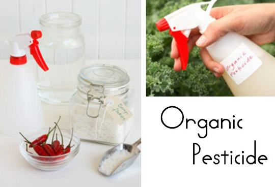 organic pesticide