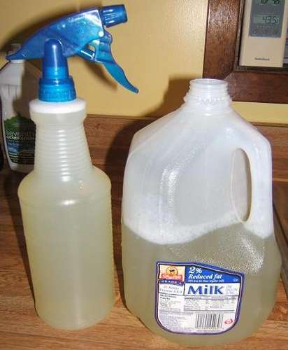 organic pesticide