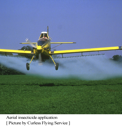 insecticide
