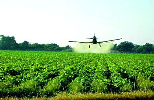 insecticides
