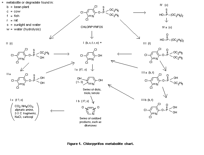 chlorpyrifos