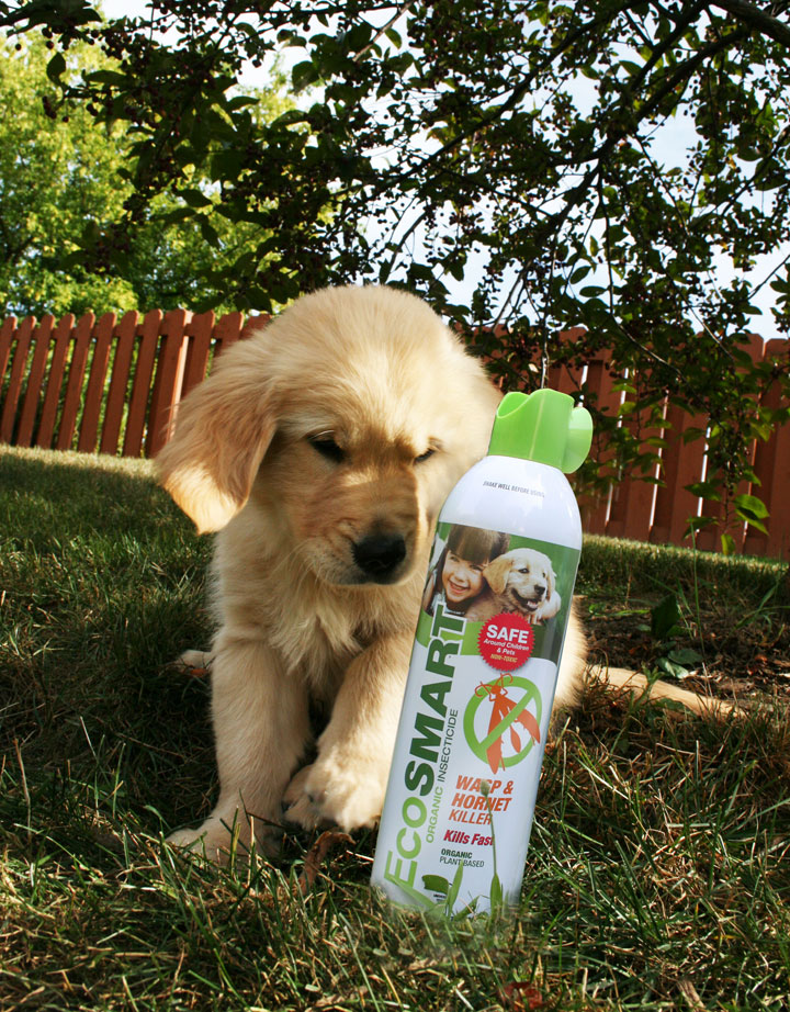 organic insecticide