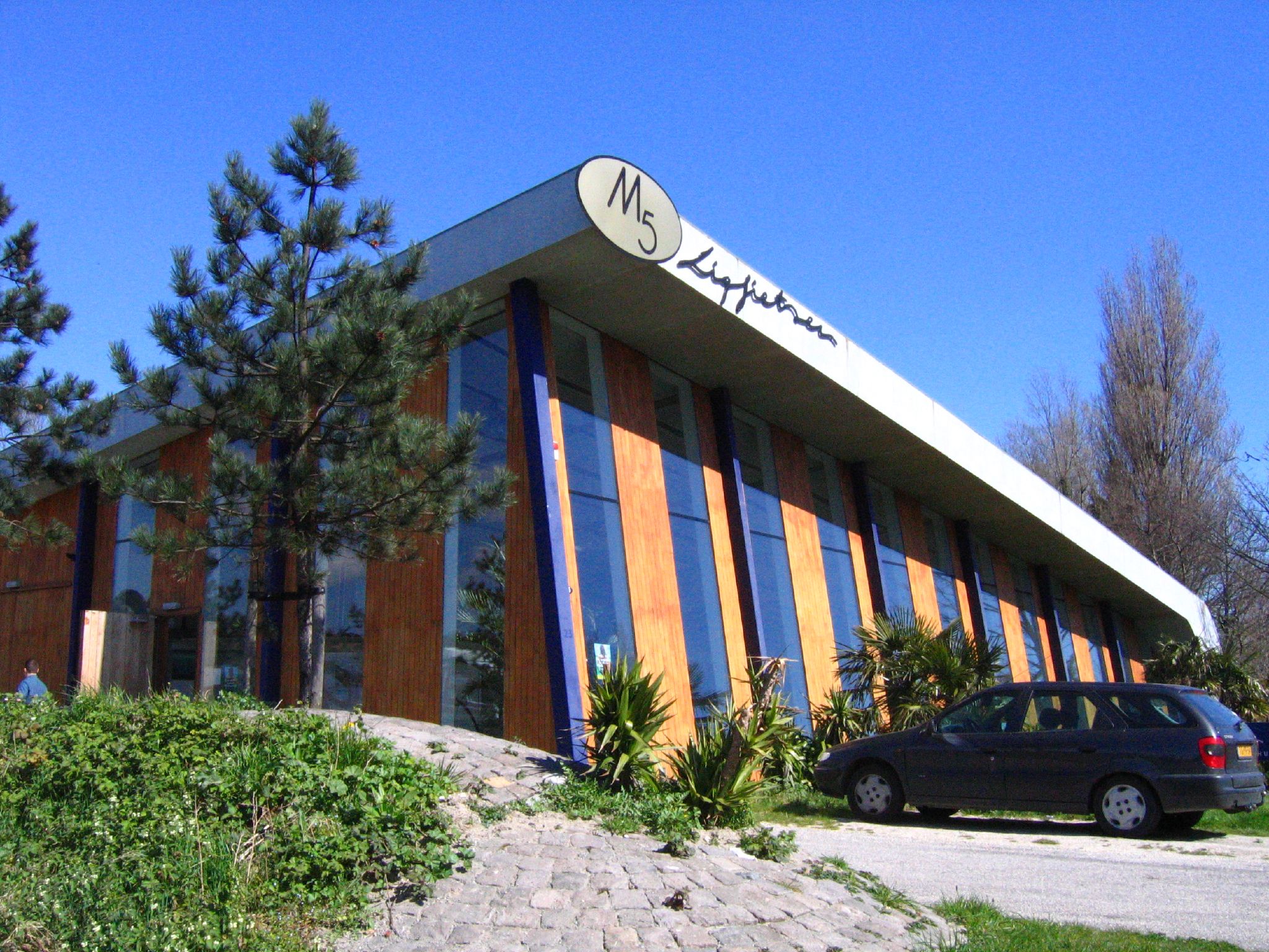 m5 ligfietsen