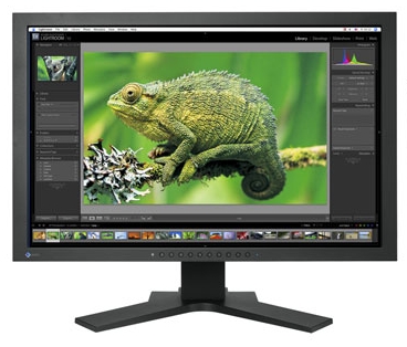 eizo monitor