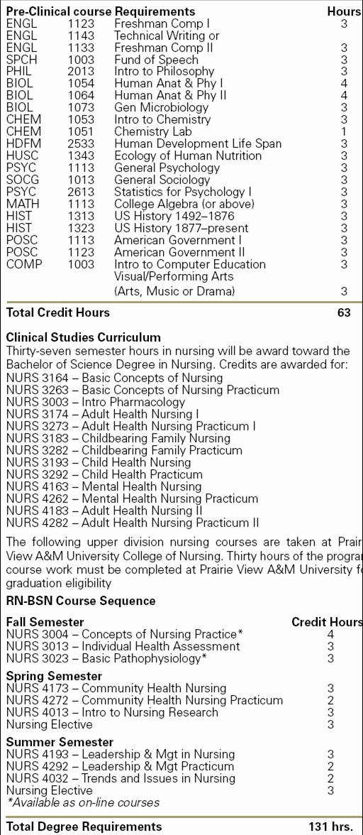 bsn program