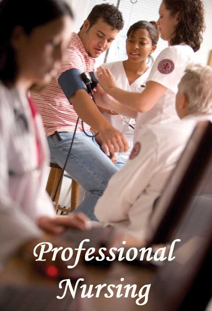 bsn nursing programs