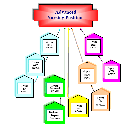 bsn nursing programs