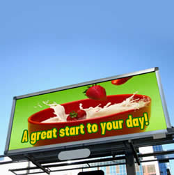 on line nursing program