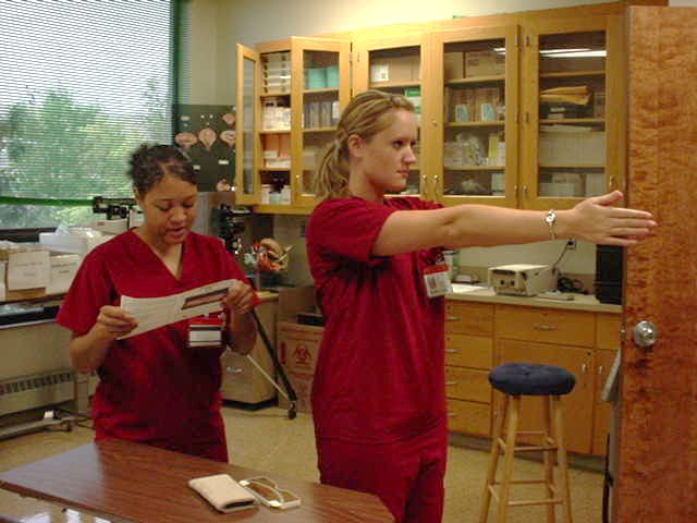 bsn nursing programs