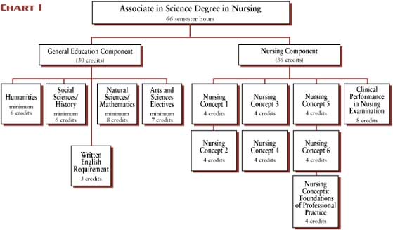 bsn courses