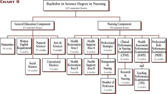 bsn courses