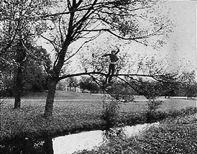 bas jan ader