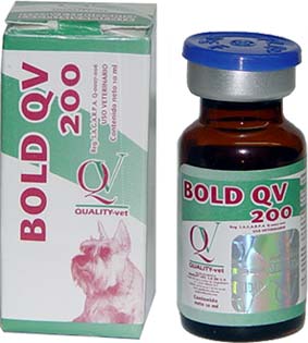qv winstrol