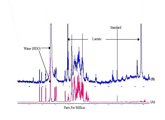 nmr spectra database