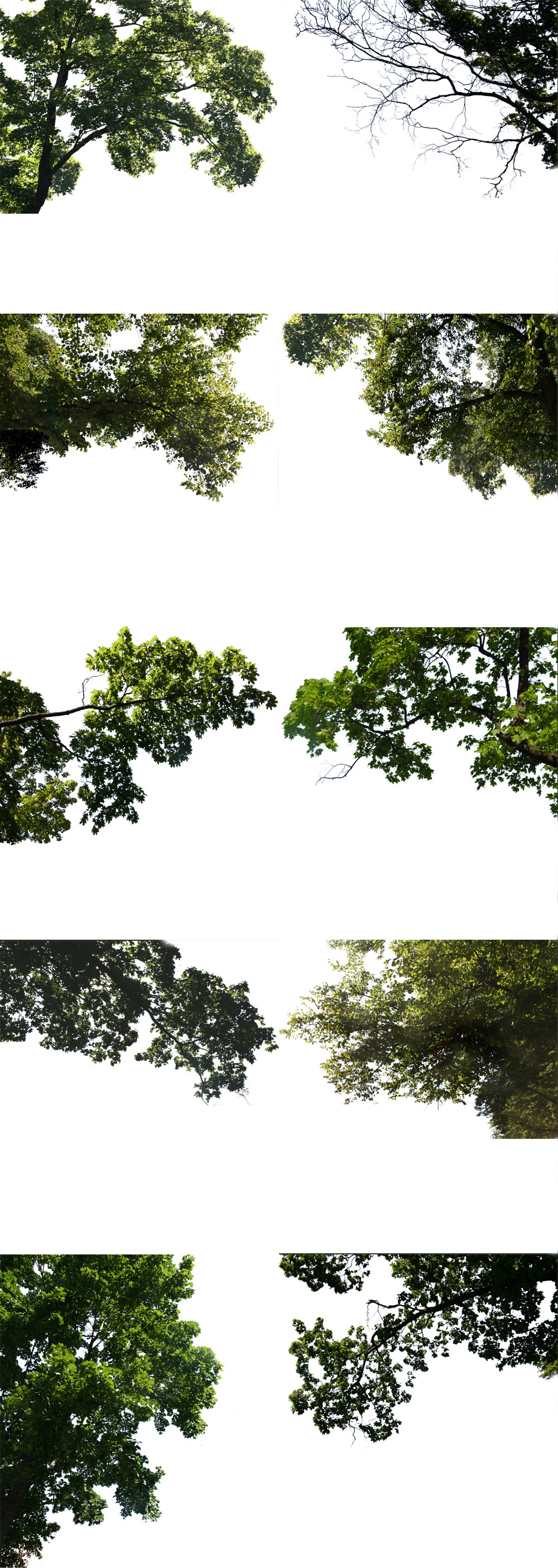 psd collection