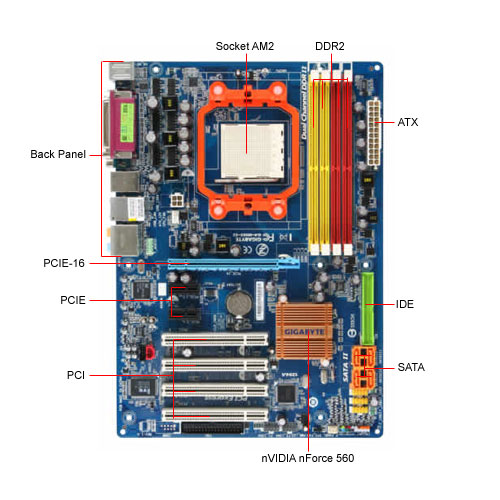 am2 motherboard