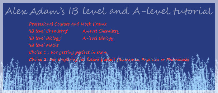 ib syllabus