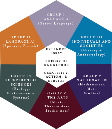 ib programme