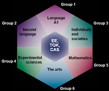 ib curriculum