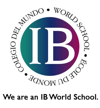 ib essay topics