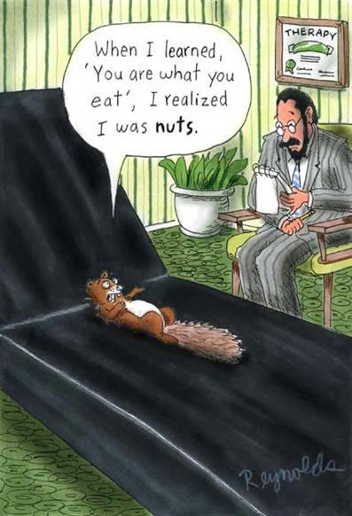 ib psychology