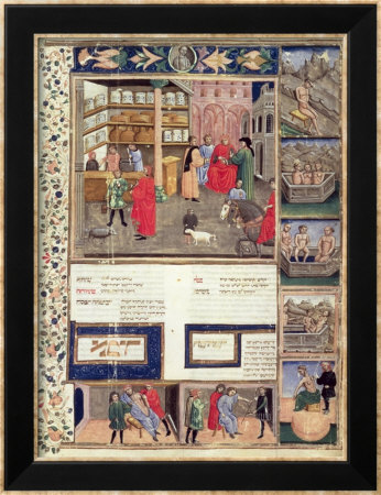 avicenna ibn sina