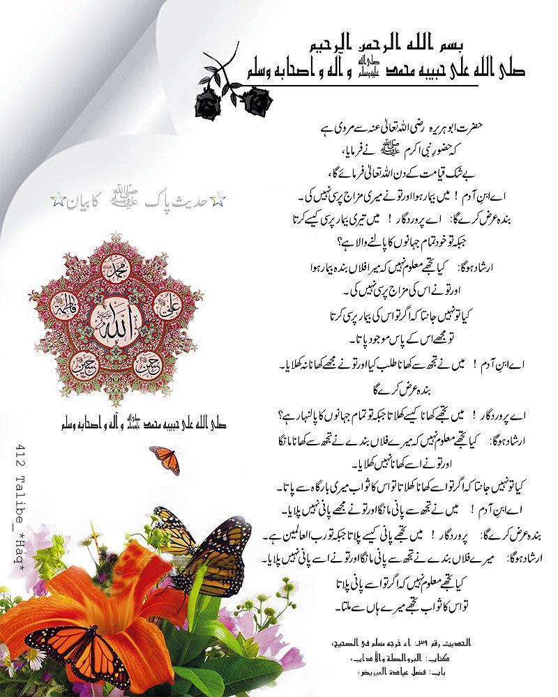 ibn pakistan