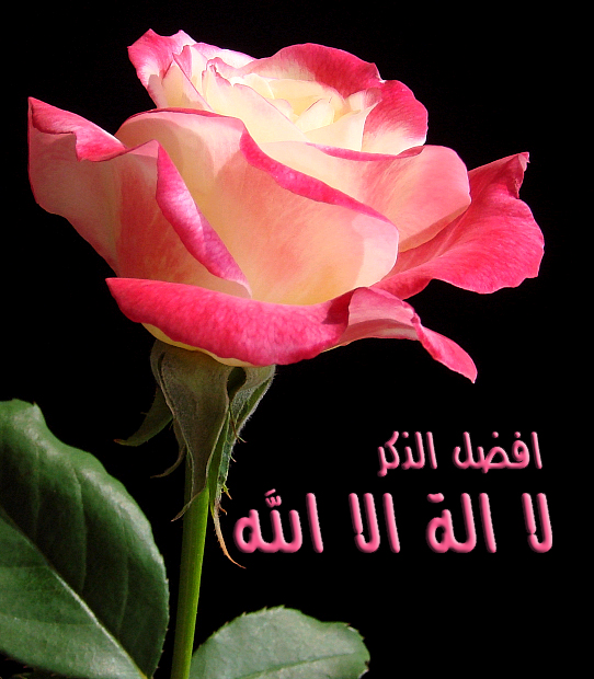 ibn abdallah