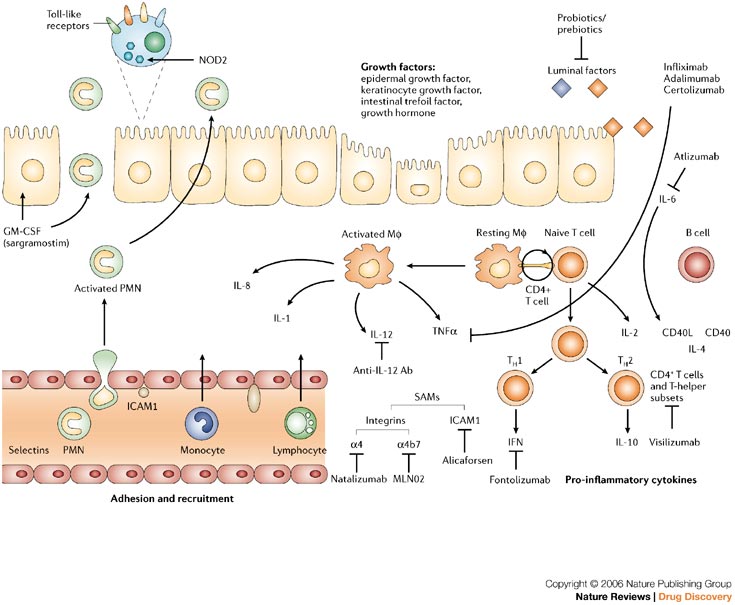 ibd therapy