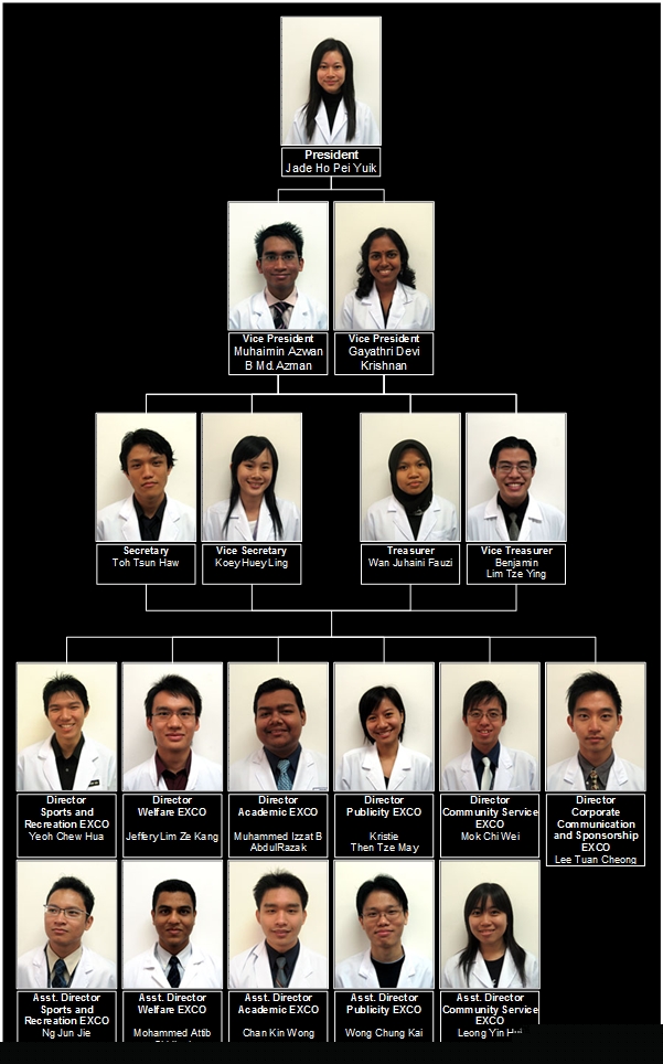 is organization
