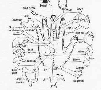 acupressure county