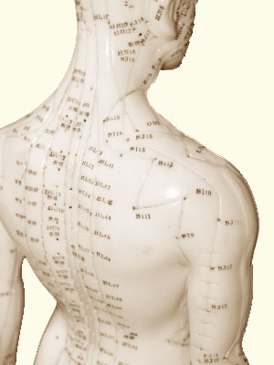 acupuncture county
