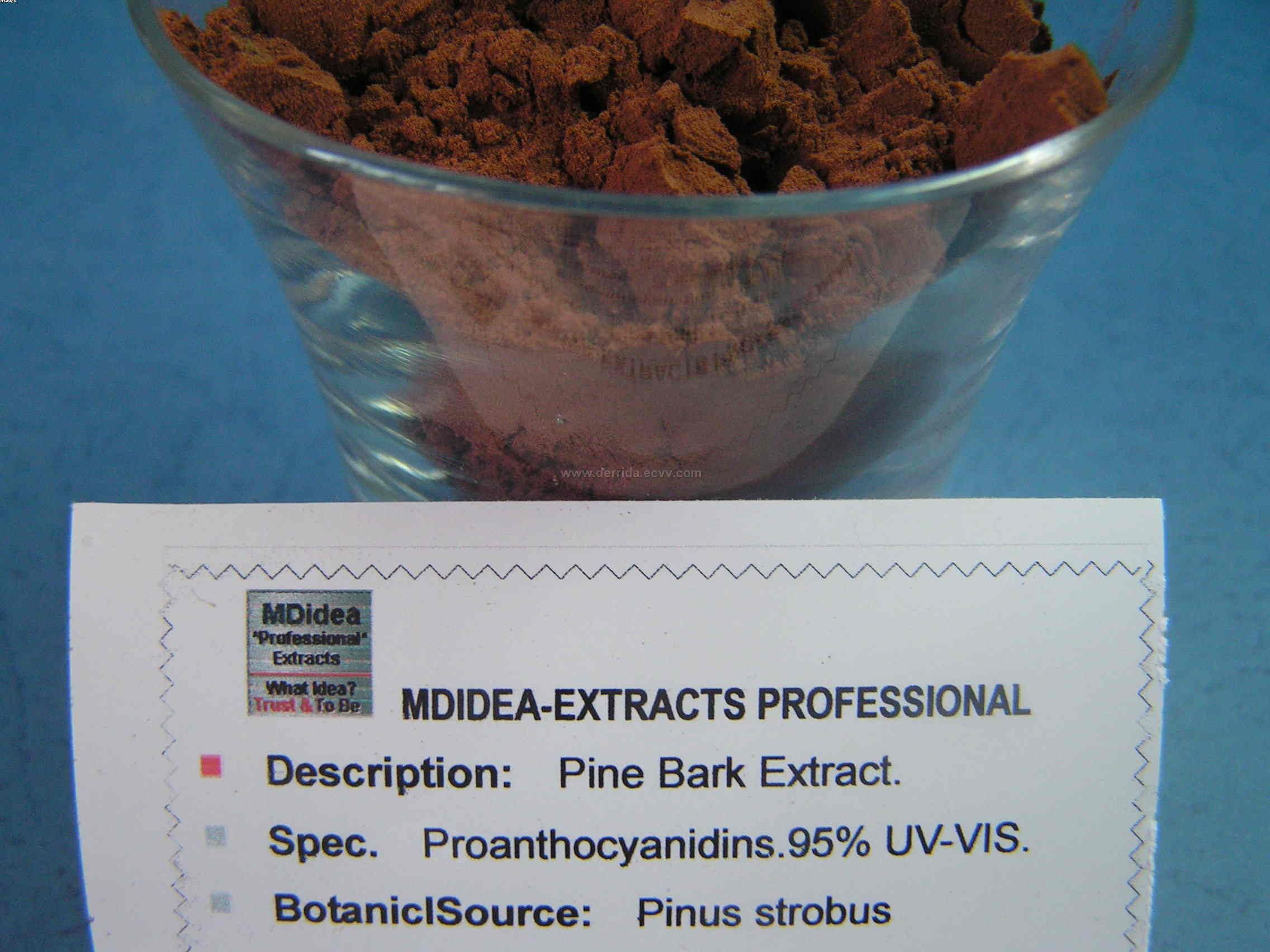 oligomeric proanthocyanidins
