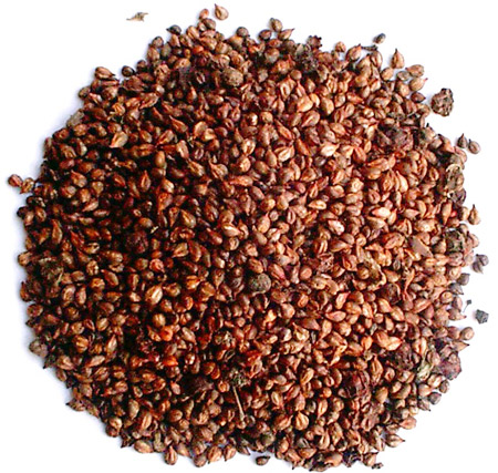 oligomeric proanthocyanidins