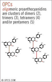 oligomeric proanthocyanidin
